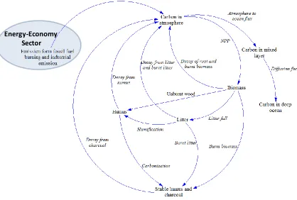 Figure 3.8: Causal loop diagram of the ANEMI version 2 carbon sector 