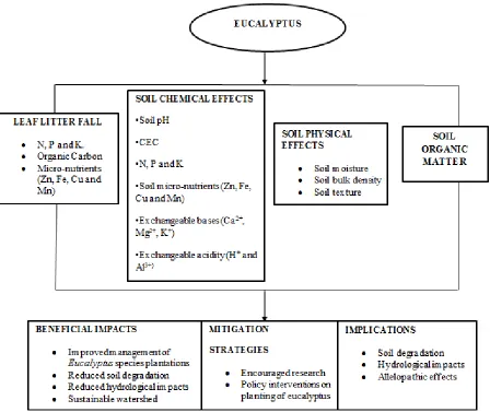 Figure 1.1: Linkages of conceptual framework for the study showing the effects of Eucalyptus spp
