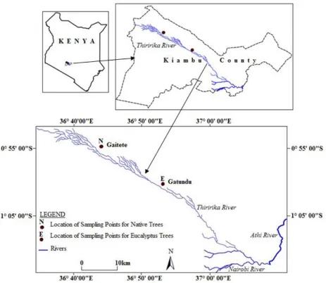 Figure 3.1: Map of the study area of the Thiririka sub-catchment showing sampling points