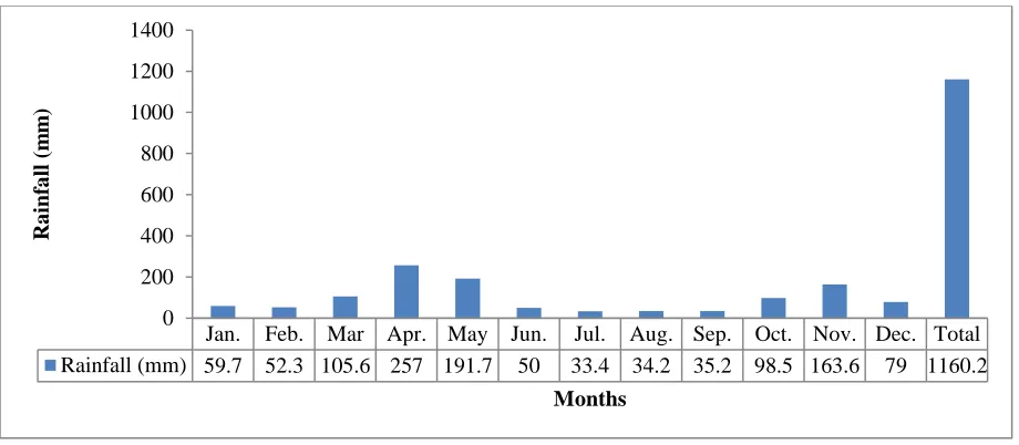 Figure 3.2: Monthly Rainfall for Thiririka sub-catchment for the year 2012 (data obtained 