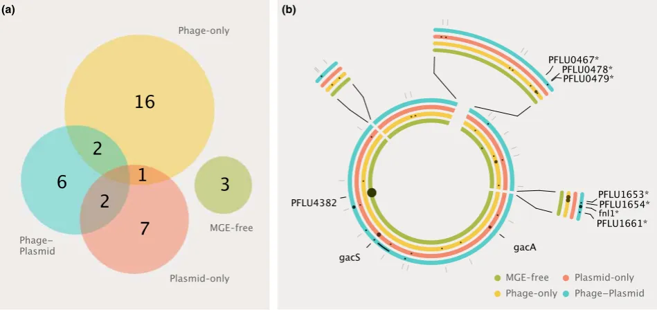 Fig. 1 Bacterial genome evolution in the presence and absence of symbionts. (a) Venn diagram comparing loci targetted across sixreplicate clones shared within and between each treatment