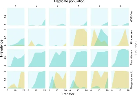 Fig. 2 The population dynamics of mucoid and GacAS-deﬁcient genotypes in replicate populations