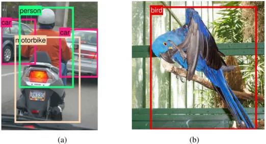Figure 1.3: An example of object detection results from trained detector [2].