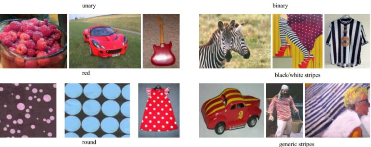 Figure 1.5: Examples of different kinds of attributes [4].