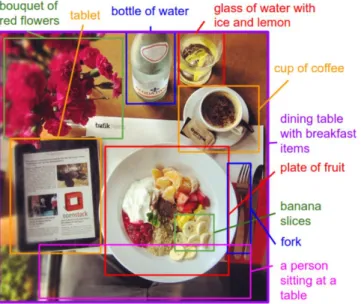 Figure 1.6: An example of generating detailed description of images [5].