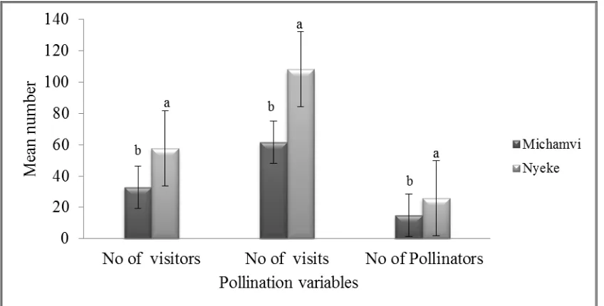 Figure 6.1: Mean numbers (± SE) of insect visitors, visits and pollinators in Nyeke 