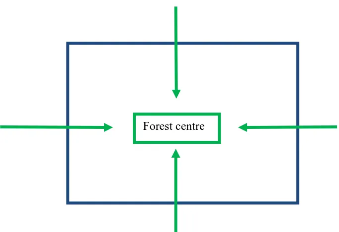 Figure 3.2 Direction transect toward the centre of the study site 