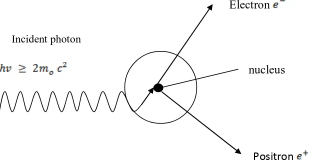 Figure 3.6: Mechanism of pair production- the process take place at the Coulomb field of 