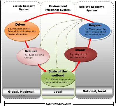 Figure 1.1: The DPSIR Concept Source: Modified from OECD, (1994), MEA 