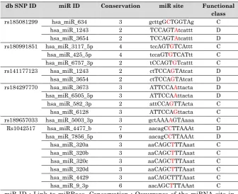 Table 3.  Polymorphisms in microRNAs target Sites 