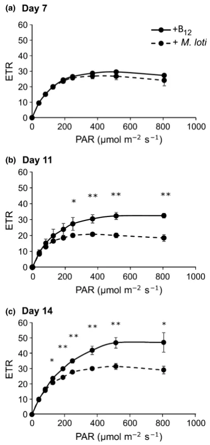 Fig. 3 Reverse transcriptase-quantitative polymerase chain reaction(RT-qPCR) measurements of transcript abundance