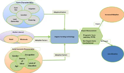 Figure 1.1 Conceptual Framework Adapted from Nemes (2010) and Offermann and Nieberg (2000) 