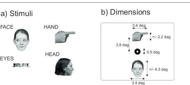 Fig. 2 a) Examples of stimuli in Experiment 1. b) An example array with stimulus dimen-sions.