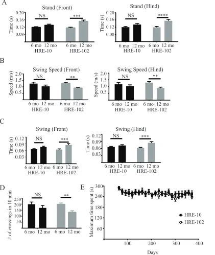 Fig S4. HRE-102 mice show age-related deficits in gait and activity compared to HRE-10 mice
