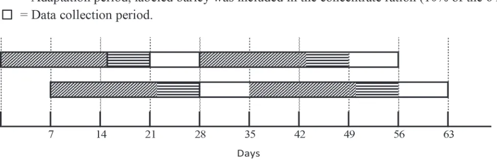 Figure 1. Description of the experiment setup.