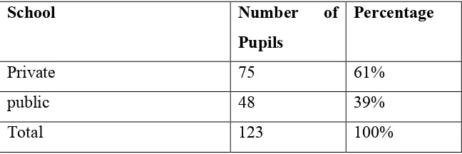 Table 4.2: Type of Pre-Primary School Attended by Pupils 