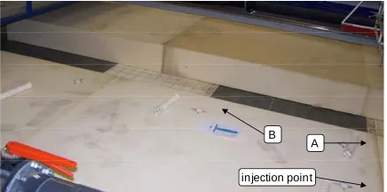 Figure 7occurred before the dye injection, and so is probably due 