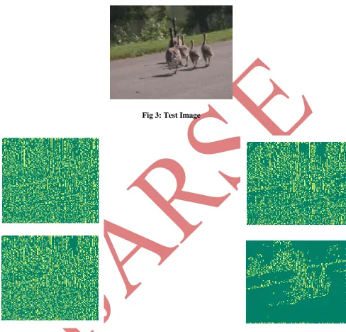 Fig 3: Test Image 