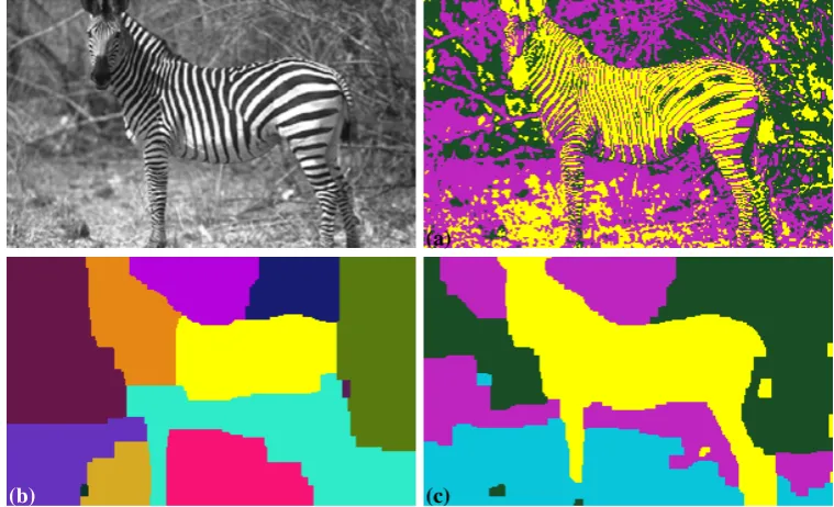 Figure 4.3: Unsupervised segmentation using histogram models.Energy (4.1) clusters in colourspace, so segments (a) are incoherent