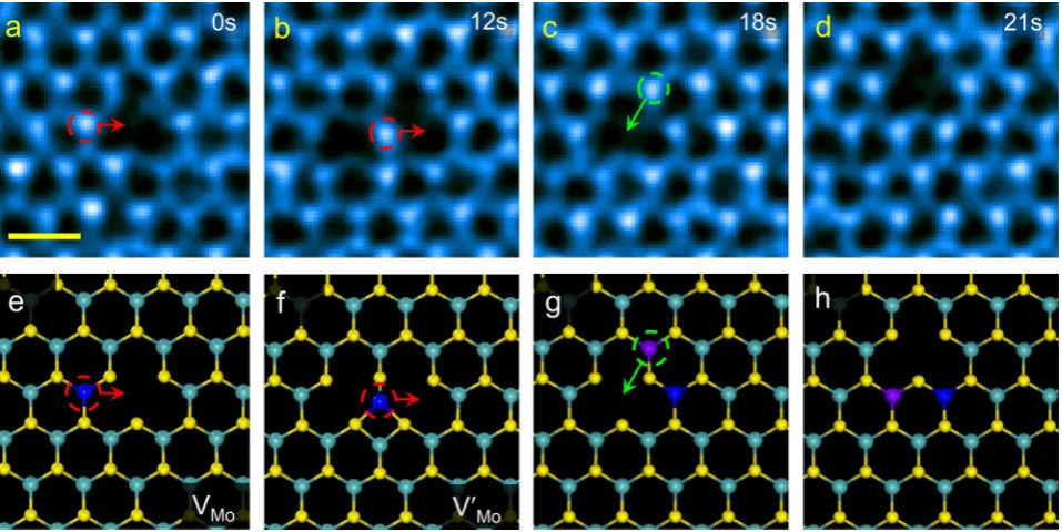 Figure 1. Atomic-scale migration of vacancy defects. (aanother Mo vacancy−d) Time-lapse series of experimental ADF images of a Mo vacancy