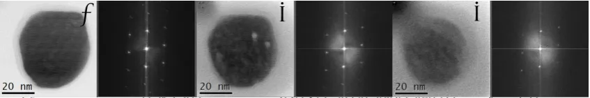 Figure 2A (left) derived atomic ratio of oxygen to calcium under continuous irradiation at 2.6x10the emergence of polycrystalline CaO rings in SAEDP for several electron fluxes