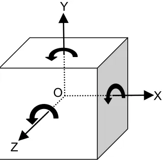Figure 1.12: Rigid Body Pose  