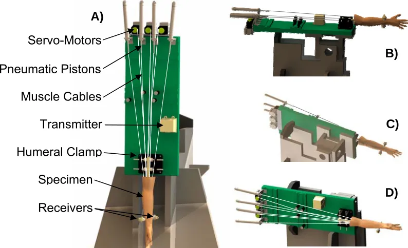 Figure 3.4: Elbow Motion Simulator  