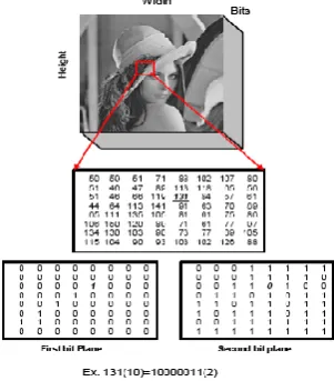 Figure 5: Basic Digital Steganography Encoder 