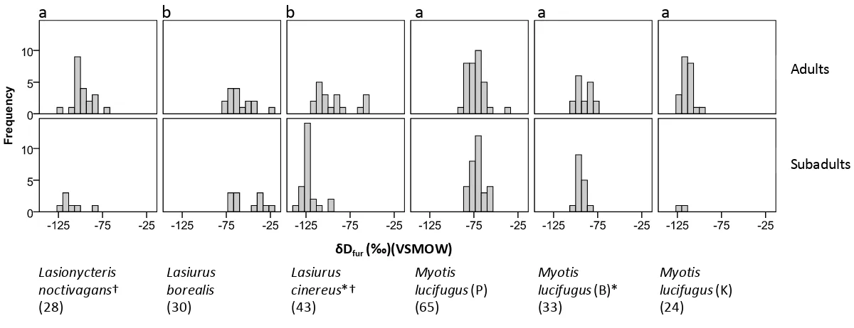 Figure 2.2. Distribution of δDfur values from adults and subadults of four bat species