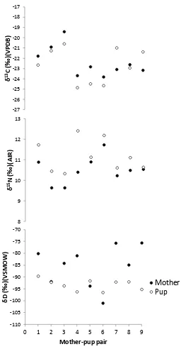 Figure 2.5. Comparison of Myotis lucifugus adult and pup stable isotope compositions. 