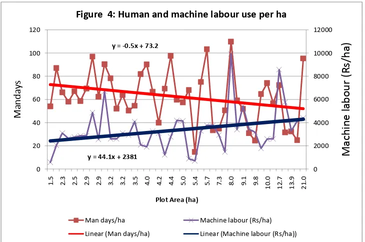 Figure  4: Human and machine labour use per ha
