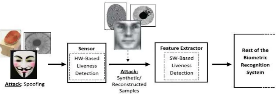 Fig 1: Liveness Detection Techniques 