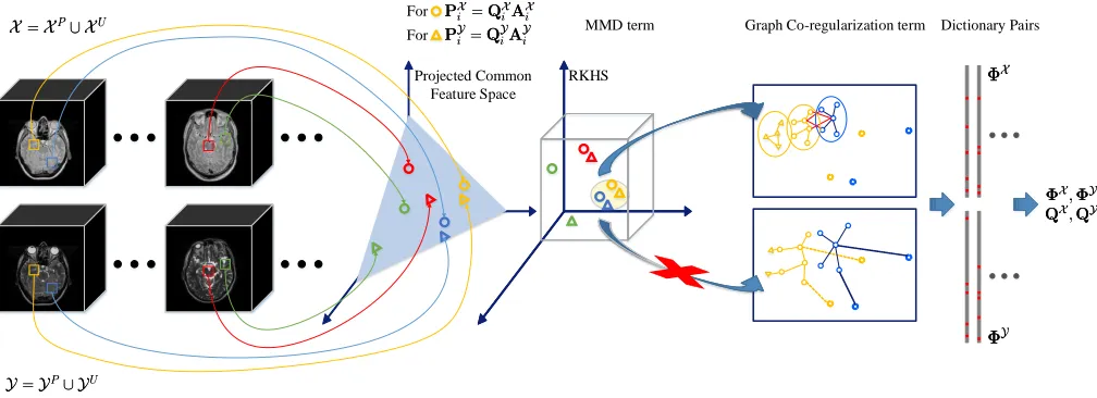 Fig. 1.Overview of the proposed cross-modality image synthesis method. Squares within the 3D images represent the extracted 3D patches with size offor target modality data respectively