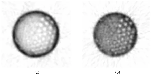 Figure 2. Sinograms produced by imaging the Jaszczak SPECT phantom at different lo-cations in the scanner field of view