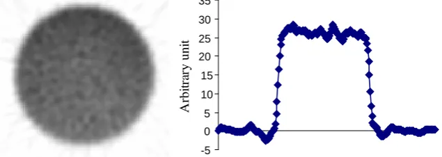 Figure 4. Uniform phantom image and the corresponding horizontal profile across the centre of the image