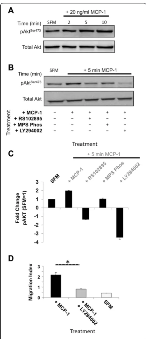 Fig. 4 MCP-1-induced migration is dependent on GPCRindependent experiments. Data are presented as mean ± standarddeviation