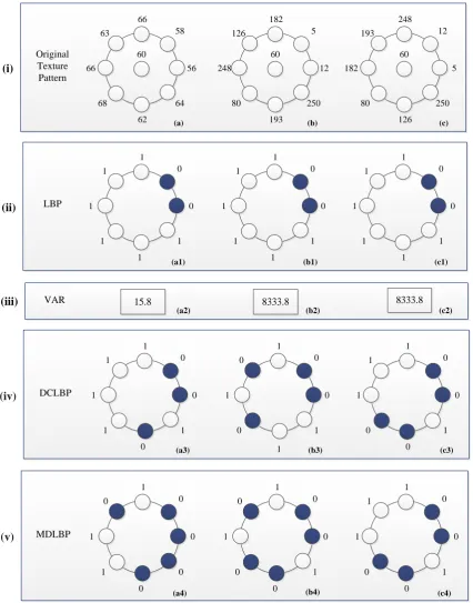 Figure 6.  Comparison of texture recognition: (i) three different texture patterns (a, b, c); (ii) LBP (a1, b1, c1); (iii) 