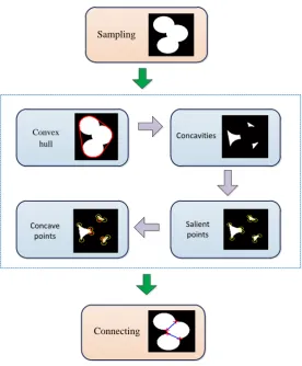 Figure 7.  Schematic of the proposed counting algorithm for particle agglomerates 