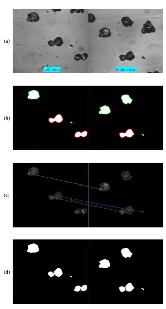 Figure 10.  Agglomerate recognition and particle counting results: (a) in-situ captured double-view images; 