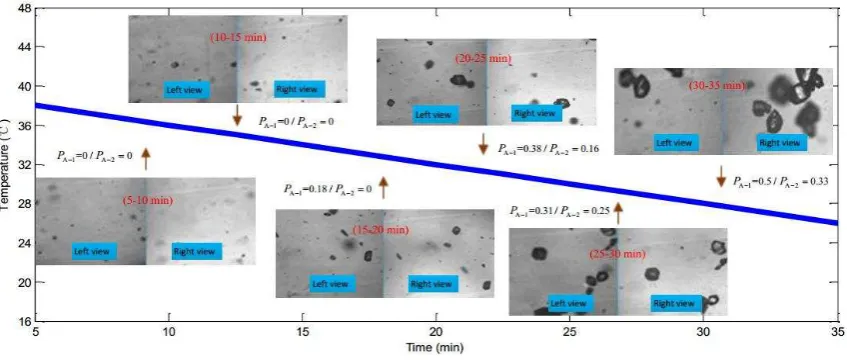 Figure 11.  Microscopic double-view images captured during the KDP crystallization process 