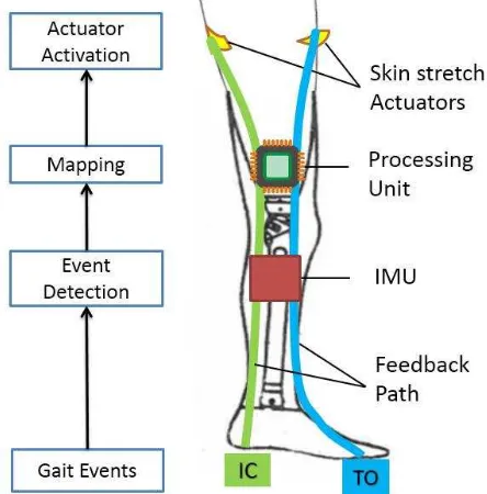 Figure 5.  Overall haptic feedback scheme. IC: Initial contact; TO; Toe-off 