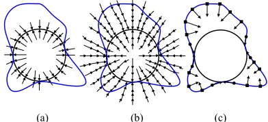 Figure 1. Forces field of three snakes. ((a) force field of the traditional snake; (b) force field of the GVF-snake; (c) two kinds of dynamic forces of the improved GVF-snake)