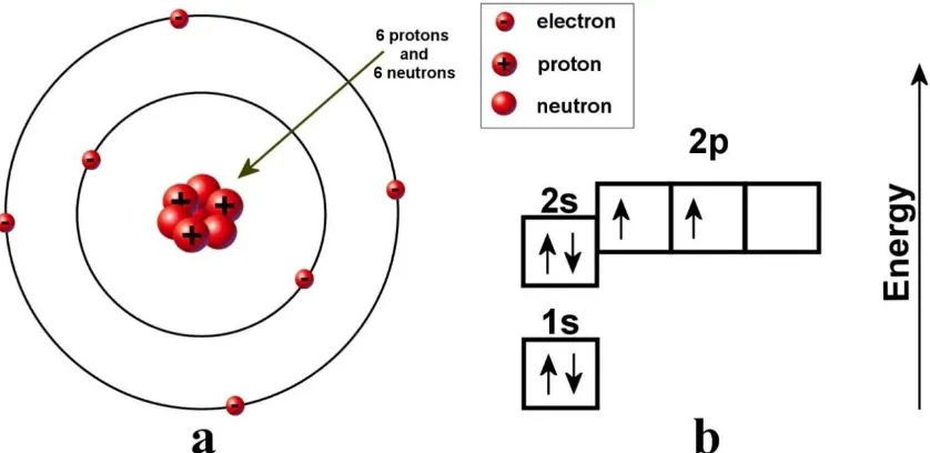Figure 2.1 Diagram of the electronic structure of the carbon atom in the ground state (a) 