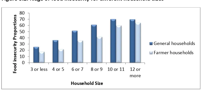 Figure 3.2: %age of food insecurity for different household sizes 