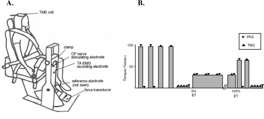 FIGURE 3.1 Schematic representation of experimental setup and procedures  