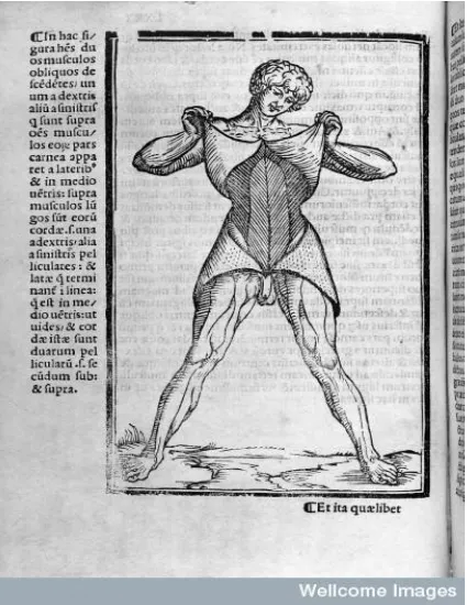 Fig. 4.  From Berengario’s Carpi Commentaria Cum Amplissimis Additionibus Super Anatomia Mundini(1521), the condensed companion to his longer commentary on Mondino