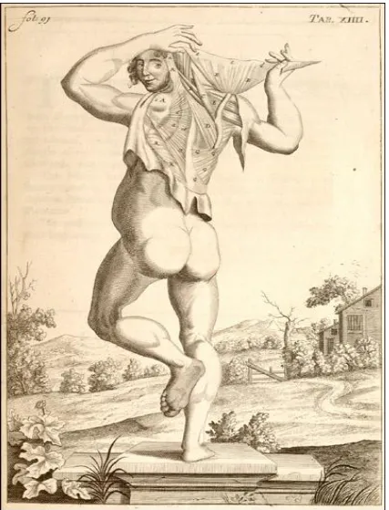 Fig. 8.  From John Browne’s A Compleat Treatise of the Muscles as they Appear in the Humane Body, and Arise in Dissection (1681)