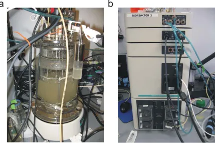 Figure 3.1: (a) Continuous flow bioreactor employed for cultivation of S. oneidensis MR-1 (wild-type)