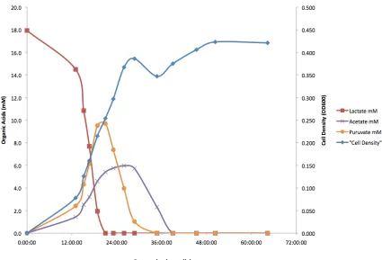 Figure 3.2: Organic acid concentration (mM) and cell density (OD600) versus 