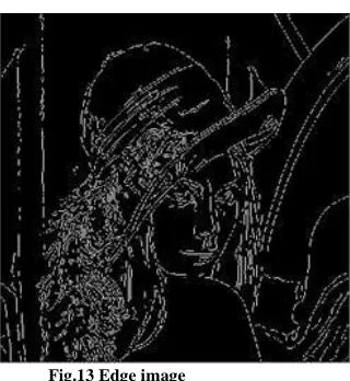 Fig.13 Edge image 